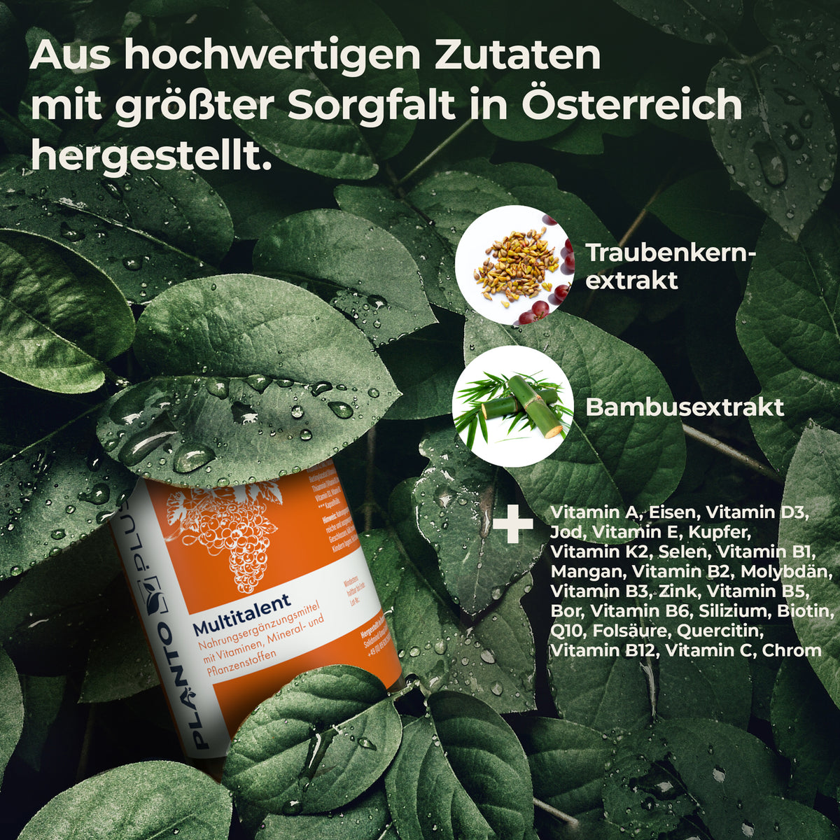 Inhaltsstoffe von Multitalent – hochwertige Zutaten für starke Pflanzen