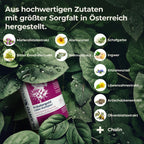 Inhaltsstoffe von Plantoplus Kräutergold – hochwertige natürliche Komponenten für gesunde Pflanzen