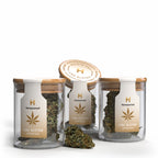 Produktfoto: 3er Pack Amnesia CBD Blüten von Hempamed, Premium Aromablüten im Set.