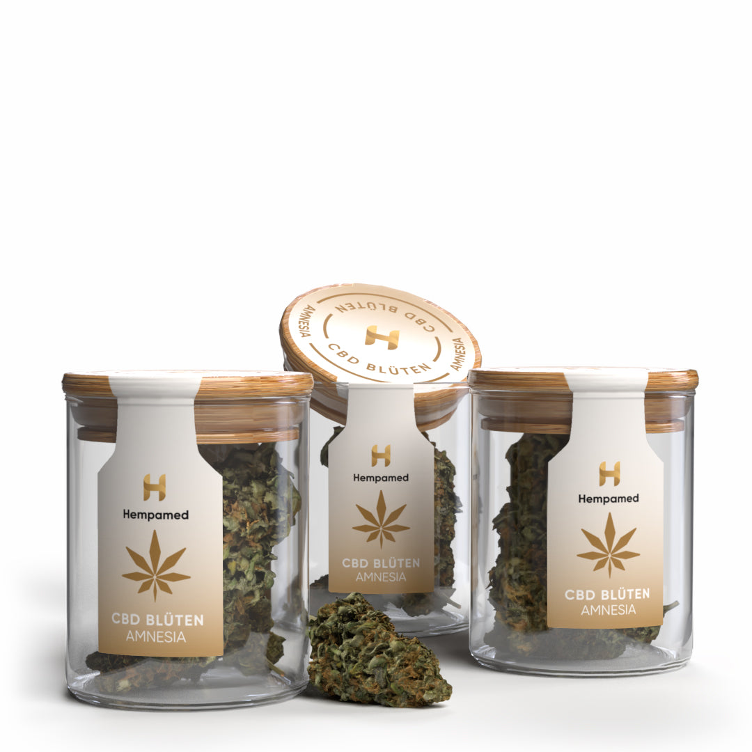 Produktfoto: 3er Pack Amnesia CBD Blüten von Hempamed, Premium Aromablüten im Set.