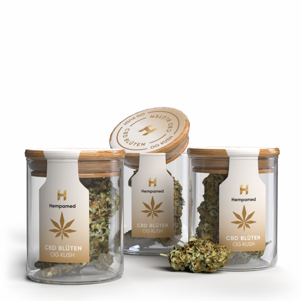 Bild: 3er Pack OG Kush CBD Blüten von Hempamed, beliebte CBD-Sorte als 3er Set.