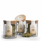 Bild: 3er Pack OG Kush CBD Blüten von Hempamed, beliebte CBD-Sorte als 3er Set.