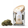 CBD-Blüten OG Kush – Premium-Qualität, kräftiges Aroma und hoher CBD-Gehalt für entspannte Momente.