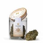 CBD-Blüten Strawberry Haze – Premium-Qualität, sanftes Aroma und hoher CBD-Gehalt für entspannte Momente.