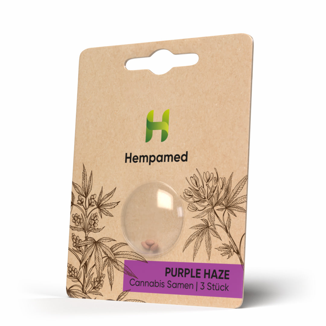 Produktverpackung für CBD-Samen der Sorte Purple Haze
