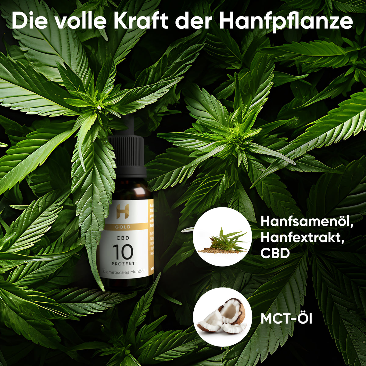 Hanfpflanzen für Hempamed Gold CBD Öl 10%, natürliche Inhaltsstoffe im Detail.