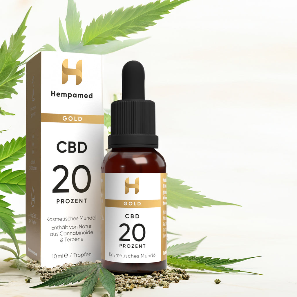 Hanfpflanzen für Hempamed Gold CBD Öl 20%, natürliche Basis des Produkts.
