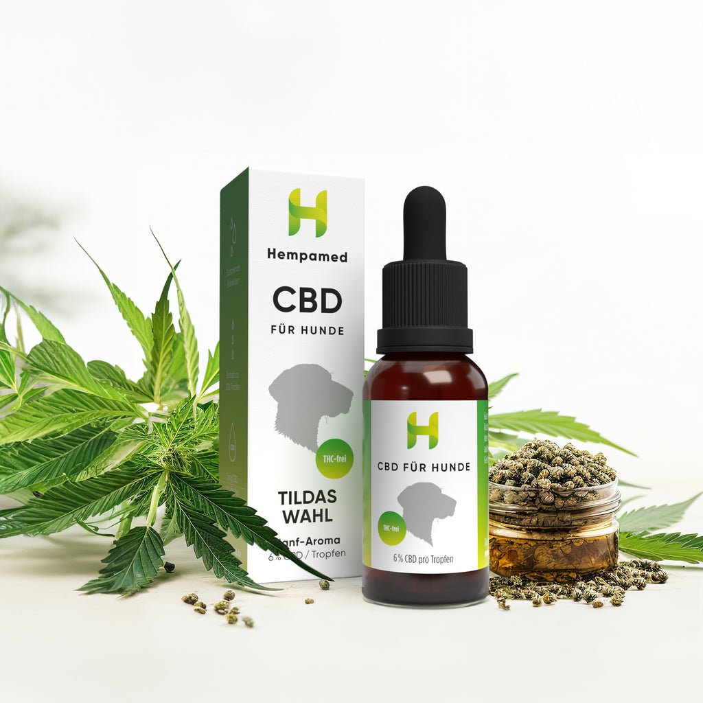 Hanfpflanzen für Hempamed CBD Öl für Hunde mit Hanf, Fokus auf natürliche Inhaltsstoffe.