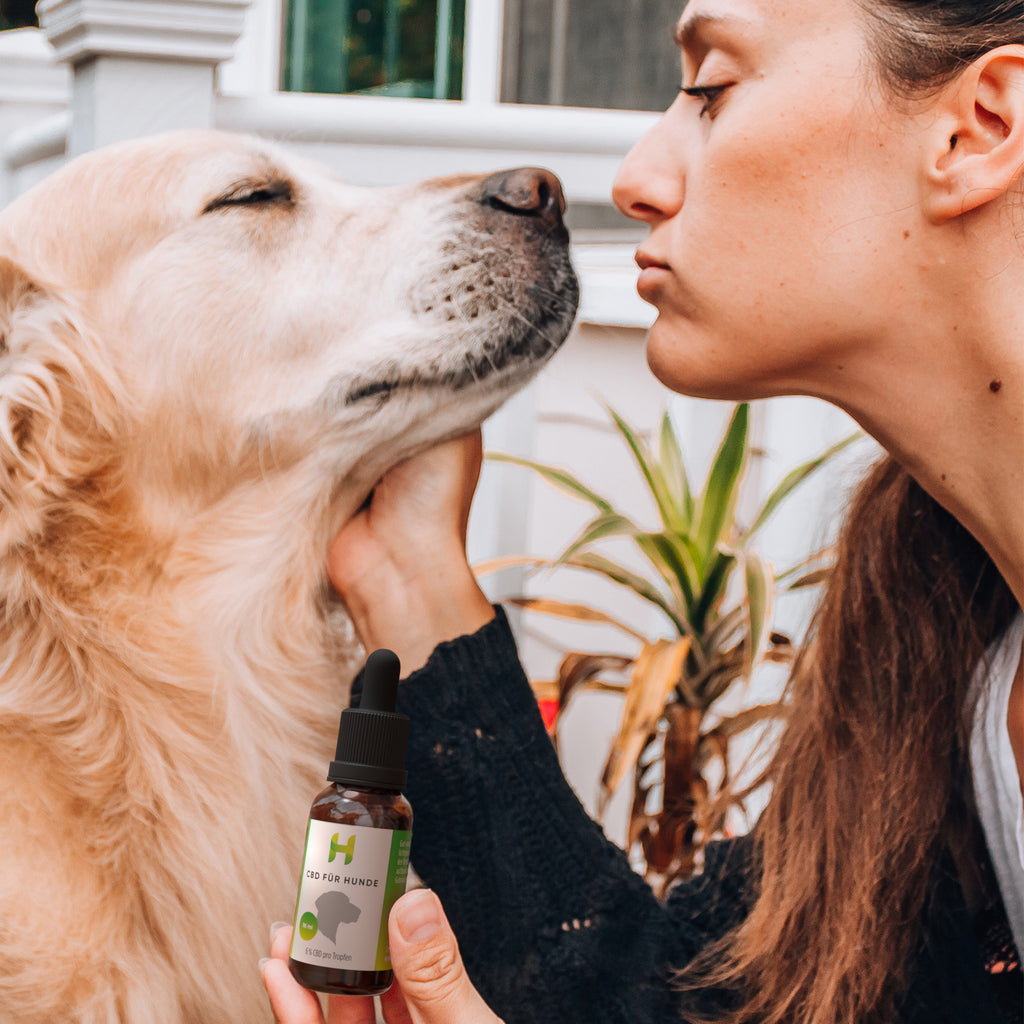 Stimmungsvolles Bild: Hempamed CBD Öl für Hunde mit Lachs, Fokus auf Wohlbefinden des Hundes.