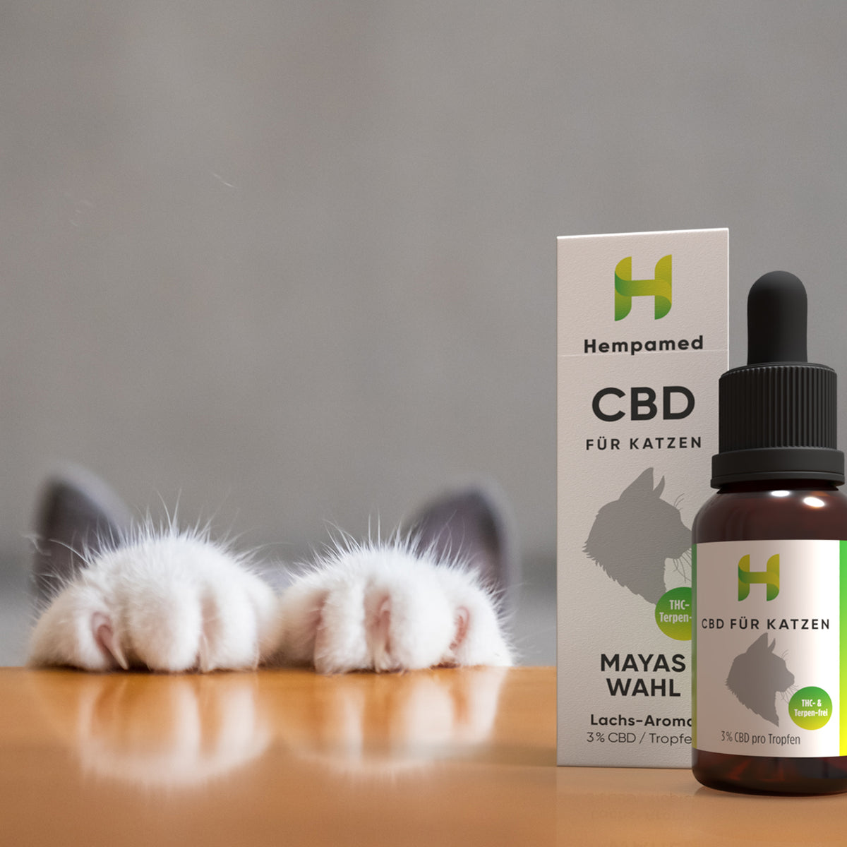 Stimmungsvolles Bild zum Hempamed CBD Öl für Katzen mit Lachs, Fokus auf Wohlbefinden und Genuss.