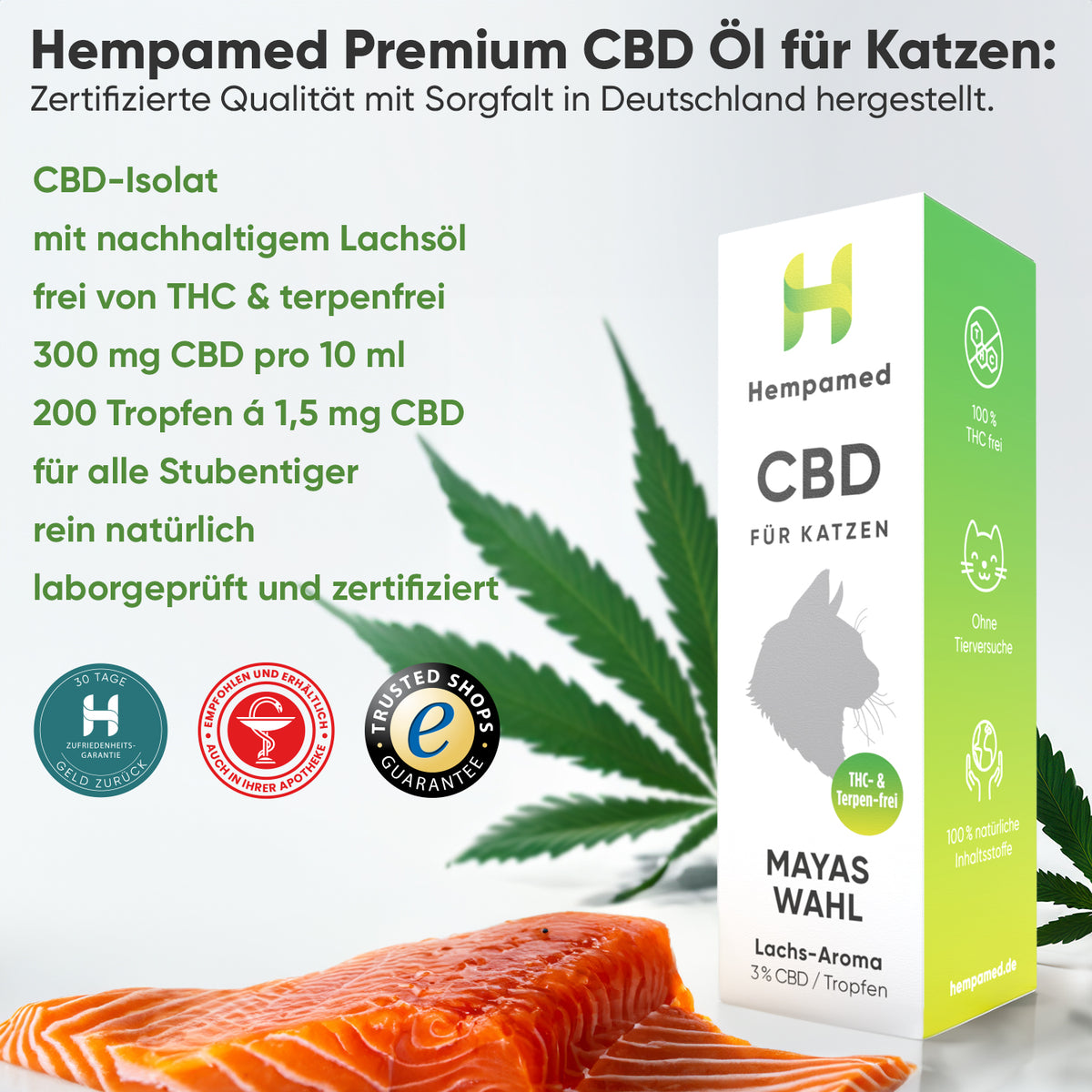 Vorteile von Katzenfutter mit Lachs – hochwertiges Futter mit wertvollen Omega-3-Fettsäuren für gesunde Haut und glänzendes Fell