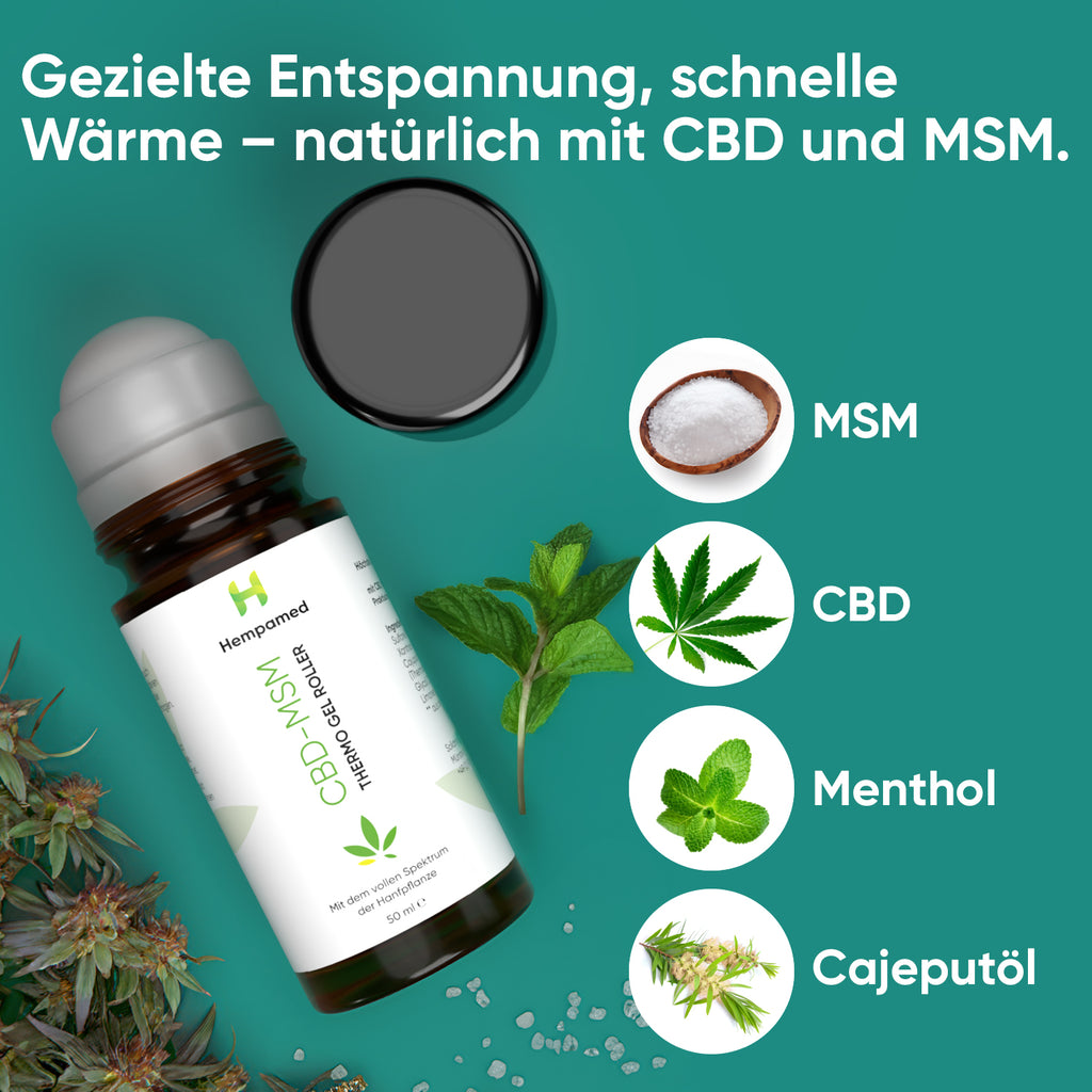 Infografik: Inhaltsstoffe der Hempamed CBD-MSM Thermo Gel Roller, natürliche Pflanzenstoffe im Fokus.
