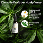 Hanfpflanzen für Hempamed Gold CBD Mundspray, natürliche Rohstoffe im Fokus.