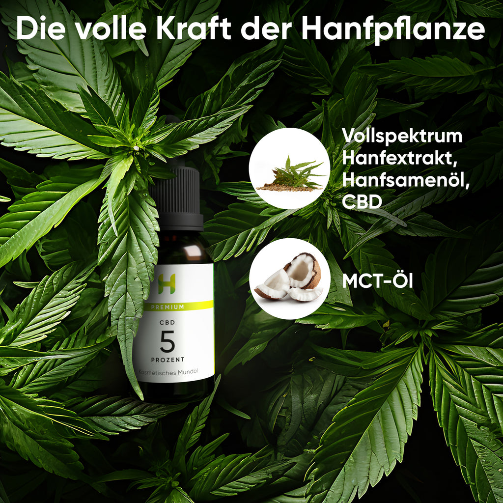 Hanfpflanzen für Hempamed Premium CBD Öl 5% (30ml), natürliche Basis des Produkts.
