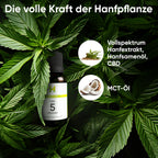 Hanfpflanzen für Hempamed Premium CBD Öl 5% (30ml), natürliche Basis des Produkts.