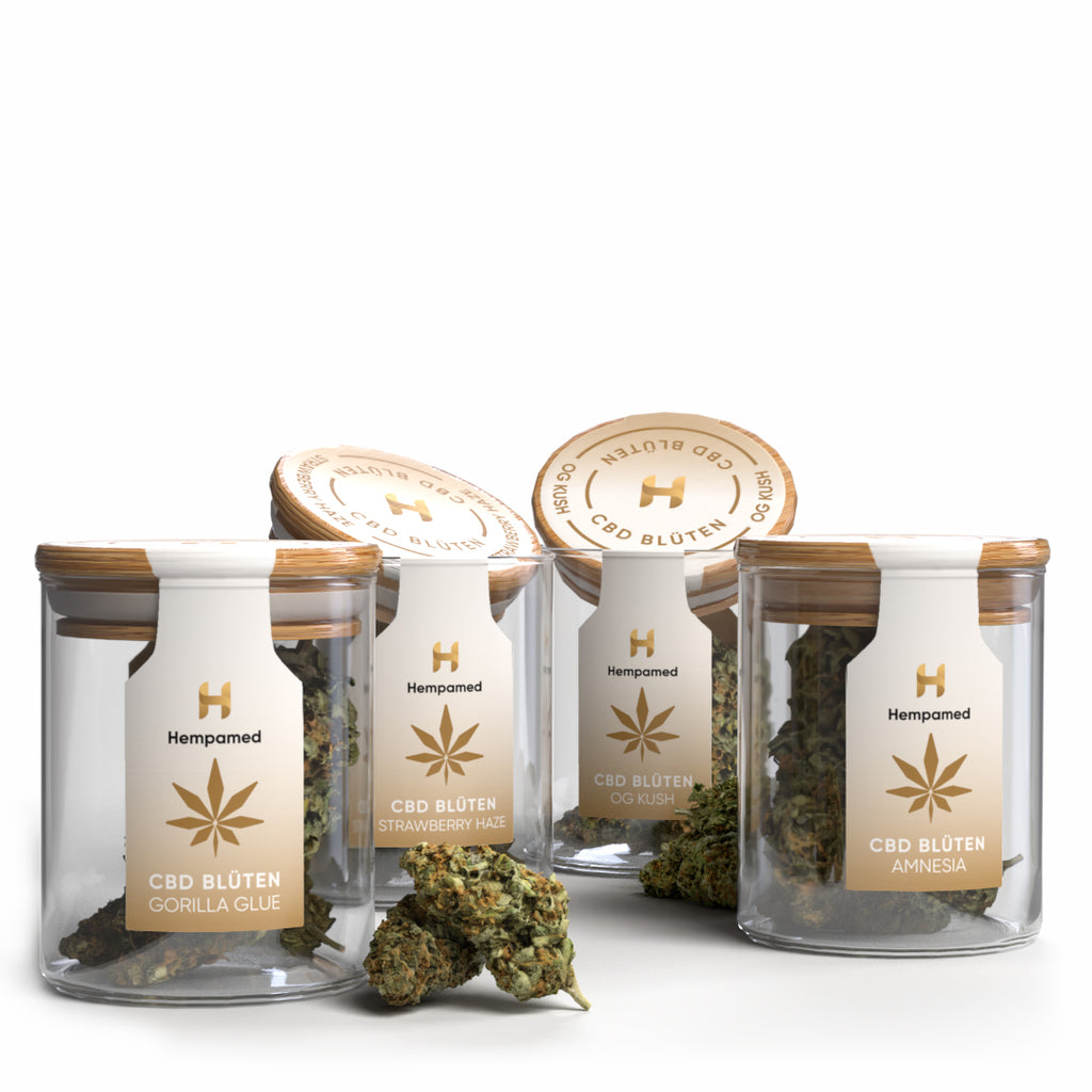 Foto: Hempamed CBD Blüten Probierset, verschiedene Sorten in einer Box.