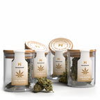 Foto: Hempamed CBD Blüten Probierset, verschiedene Sorten in einer Box.